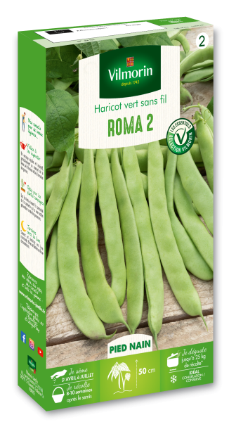 Légumes Secs - Haricot Nain Vert Plat Roma 2 - PACKAGING_3D_RECTO